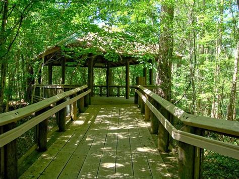 Northlake Nature Center (Mandeville) - 2020 All You Need to Know BEFORE You Go (with Photos ...