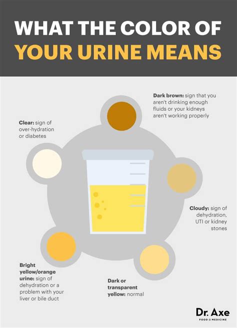 As 25 melhores ideias de Cloudy urine causes no Pinterest | Reflexologia, Vitaminas e Saúde da ...