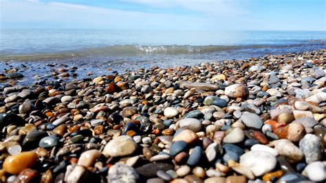 Enjoy A Spring Day At The Beach – Pinery Provincial Park – Lambton Wildlife