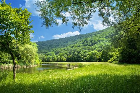 Image Summer Nature Scenery Grass Rivers Trees