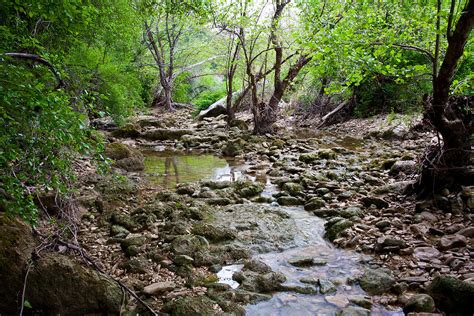 Barton Creek Greenbelt Photograph by Mark Weaver