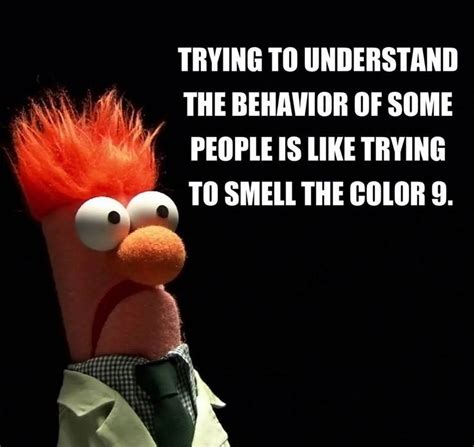 The 61 best Beaker Muppetshow images on Pinterest | The muppets, Jim henson and Hand puppets