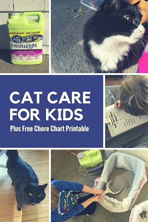 Teaching Kids How To Care For Cats + Printable Cat Care Chore Chart | A ...