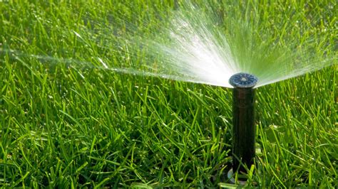 How to Irrigate Your Lawn: Expert Tips for Turf Health and Water Efficiency