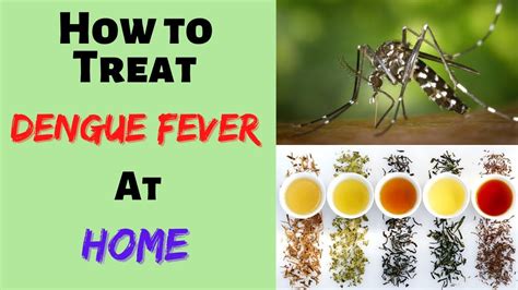 How To Cure Dengue - Tomorrowfall9