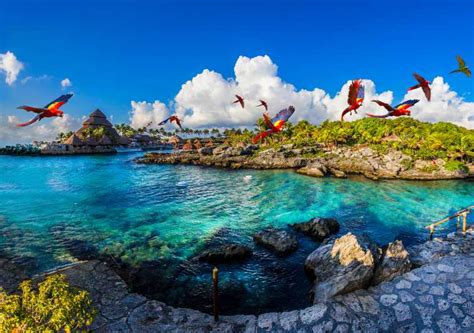 Xcaret Park: Full-Day Ticket with Night Show | GetYourGuide