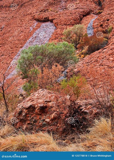 Kata Tjuta Red Rocks, Northern Territory, Australia Stock Photo - Image ...