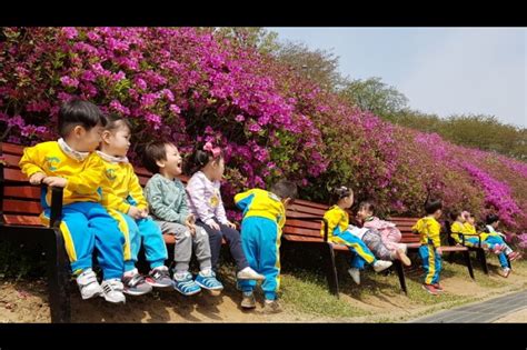 Gunpo Royal Azalea Festival | 책나라군포 철쭉축제 : TRIPPOSE