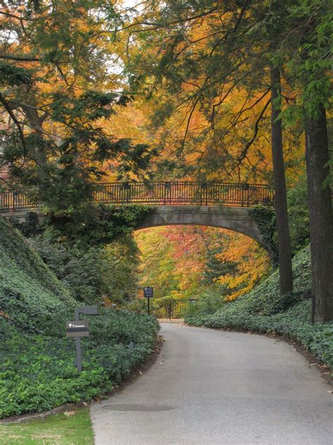 An Afternoon in Longwood Gardens | Autumn landscape, Longwood gardens, Landscape photos