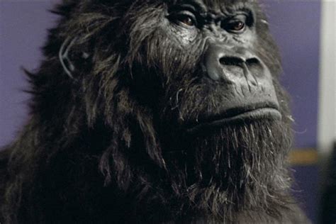 Cadbury's 'Gorilla' is nation's favourite ad, while industry opts for ...