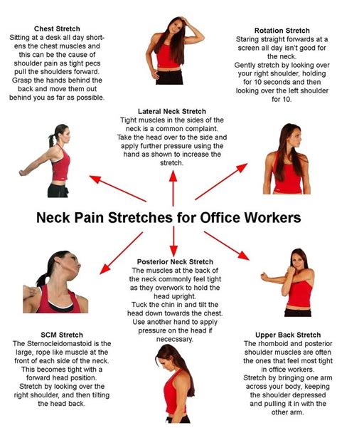 neck pain strectches | Neck Pain Stretches for Office Workers - Much of my problem stems from ...