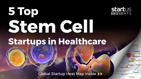 5 Top Stem Cell Startups Impacting The Healthcare Sector