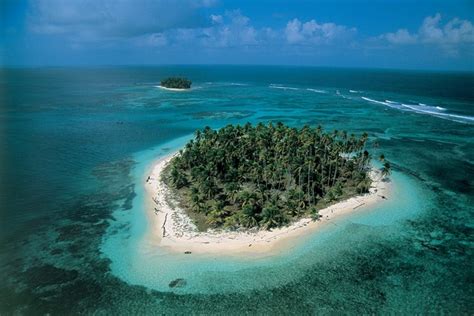 Island castaways | BBC Earth