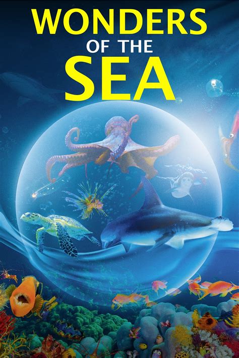 Wonders of the Sea 3D (2017) - Posters — The Movie Database (TMDB)