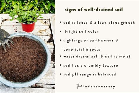 Soil draining: How to make your soil drain better