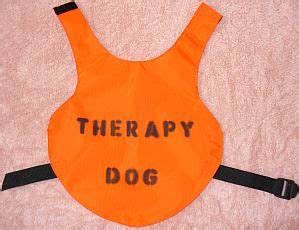 Therapy Dog Vests: Make Your Own | Therapy dog vest, Therapy dogs, Dog ...