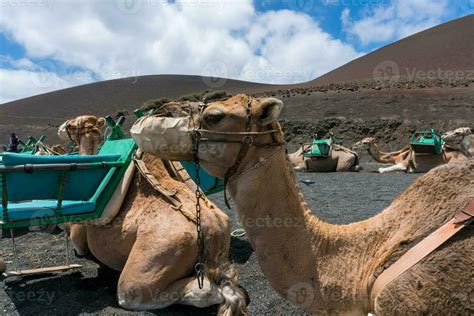 Timanfaya National Park 23379828 Stock Photo at Vecteezy