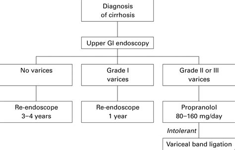 Esophageal Varices Grading