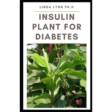 Insulin Plant for Diabetes : How to use this wonder plant to cure diabetes naturally includes ...