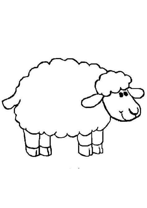 Coloring Pages | Free Printable Sheep Coloring Pages