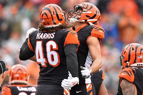 Poll: Will the Bengals have a winning record in 2020? - Cincy Jungle