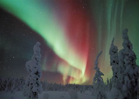 Winter Adventures in Finland's Lapland - Eat Drink Travel Magazine