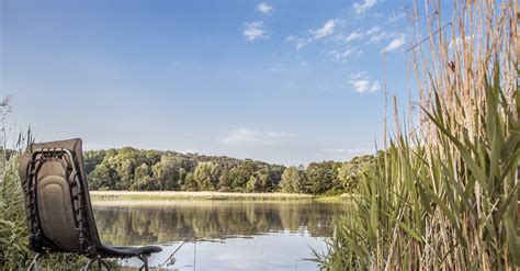 Free stock photo of camp, camping, fishing