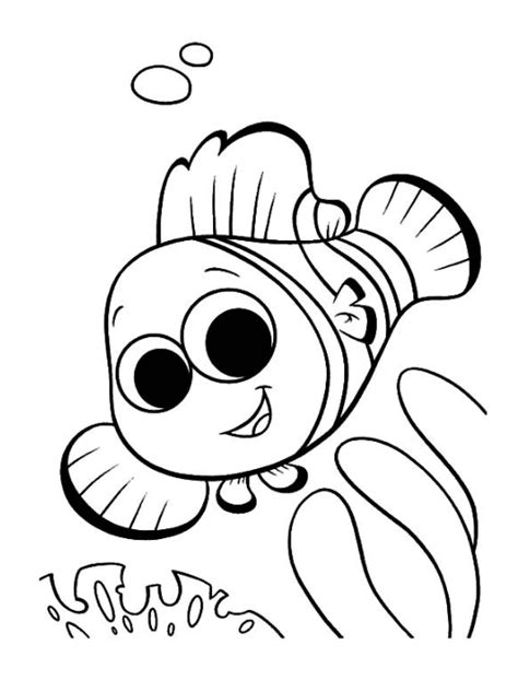 Clown Fish & coloring book.