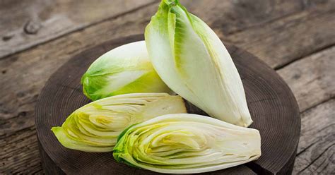 How to Grow Belgian Endive | Gardener’s Path