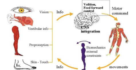 What is Balance? • Sensing Future