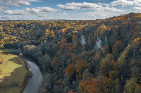 4 things you didn't know about Forestry England — Walk 1000 Miles