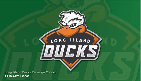 Long Island Ducks Redesign on AIGA Member Gallery