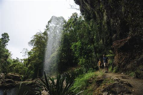 Are Dogs Allowed In National Parks In Queensland