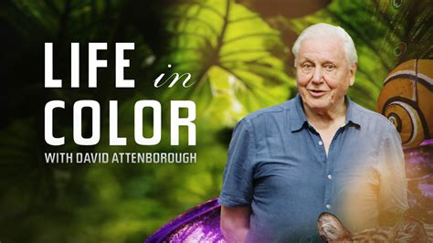 Life in Color with David Attenborough | Global Trekker