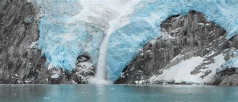 Kenai Fjords National Park | Wildlife & Glacier Cruiess | AlaskaTravel.com