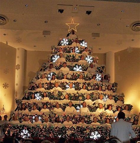 Hilldale Baptist Church to hold “The Living Christmas Tree – A ...