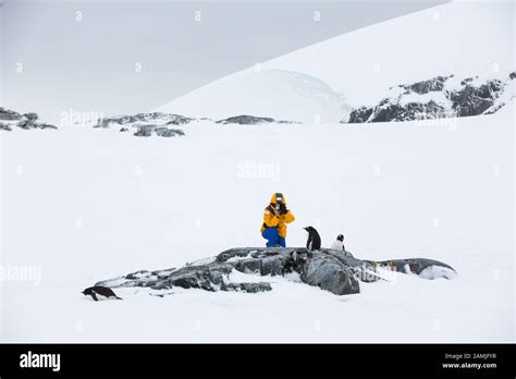 Peterman Island, Antarctic Peninsula, Antarctica Stock Photo - Alamy