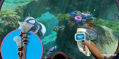 How To Get The Spiral Plant Clipping In Subnautica: Below Zero