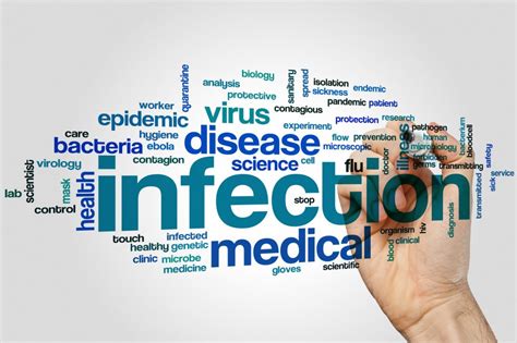 Four Facts about Infection and Its Prevention - Alliance for Aging Research