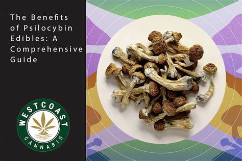 The Benefits of Psilocybin Edibles: A Comprehensive Guide - West Coast ...