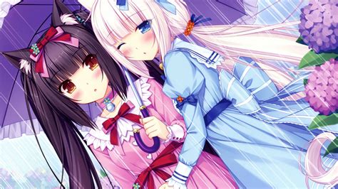 Nekopara 4k Wallpapers - Wallpaper Cave