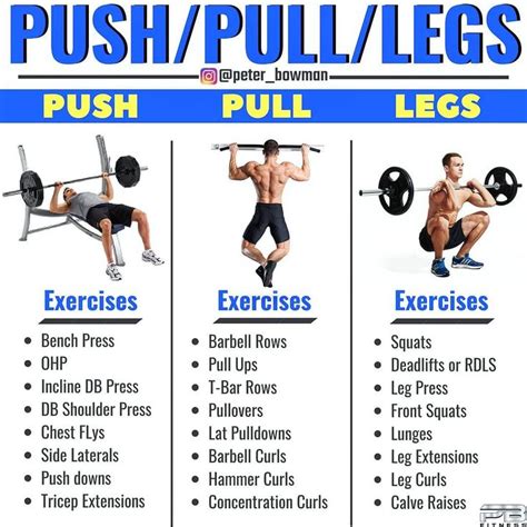 Push/Pull/Legs Weight Training Workout Schedule For 7 Days - GymGuider ...