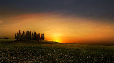 Cypress trees at sunset by Riccardo Lubrano on 500px | Cypress trees, Sunset, Cypress