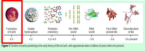 Origins of Life Uncovering the Mystery of How Life Began | by Nishrin K ...