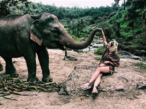 Elephant Jungle Sanctuary Chiang Mai - Feeding Time - The Millennial Runaway - Travel & Food Blog