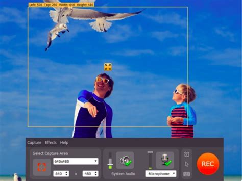 Movavi Screen Recorder Review: Best Free Video Recording Software