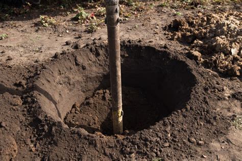 9 Essential Things to Learn Before Digging a Well | Blog | PEforHire.com 9 Essential Things to ...