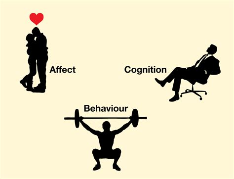 Affect, Behavior, and Cognition | Principles of Social Psychology