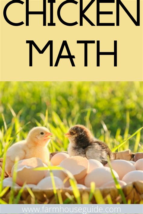 CHICKEN MATH | Chickens, Chickens backyard, Chickens for sale