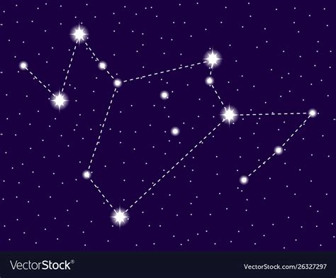 Phoenix constellation starry night sky zodiac Vector Image